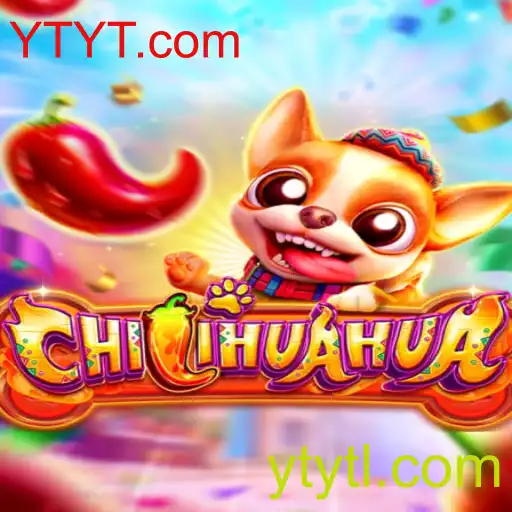 CHILIHUAHUA: Descubra o Novo Fenômeno de Jogo Online