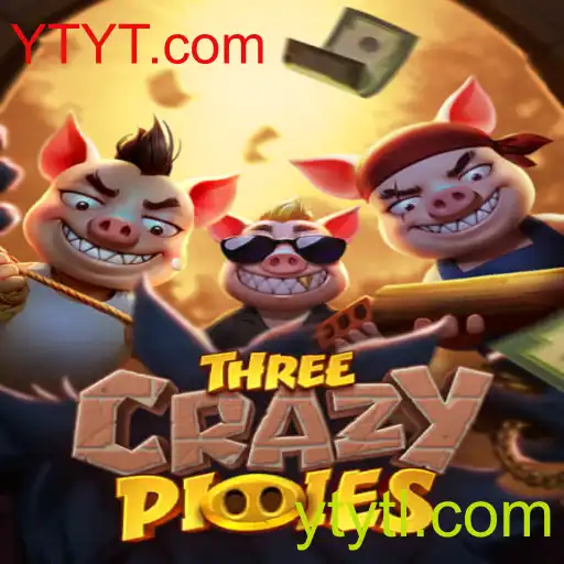 ThreeCrazyPiggies - Um Jogo Empolgante e Divertido